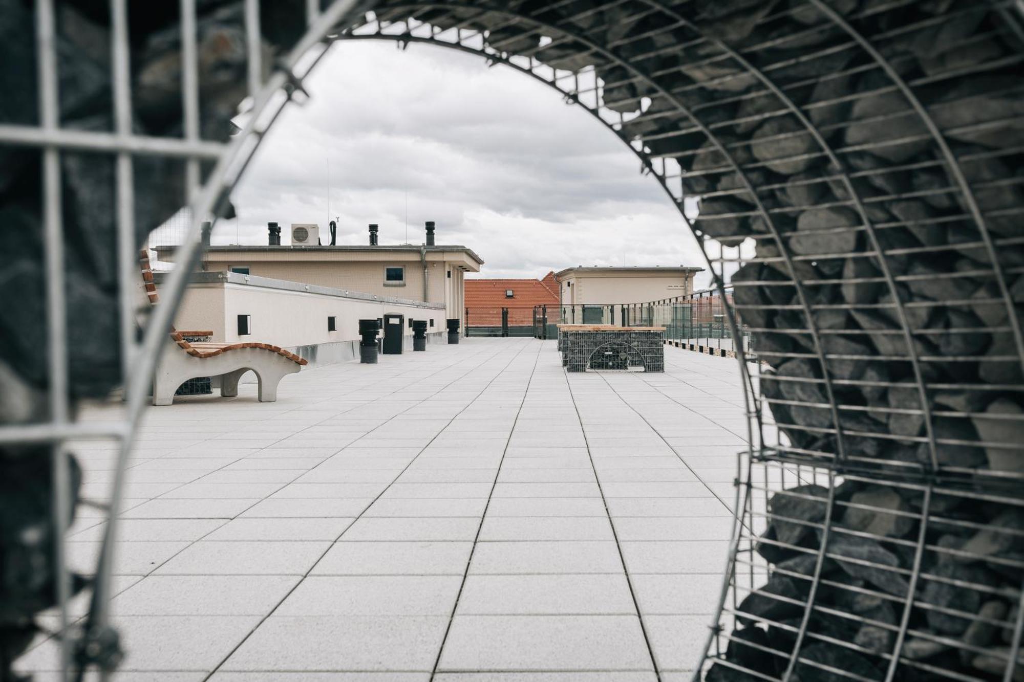 Oasis Appart - Wohnen In Dresden - Netflix - Tiefgarage - Dachterrasse Eksteriør billede